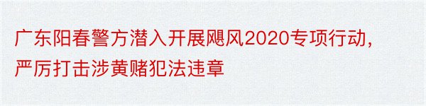 广东阳春警方潜入开展飓风2020专项行动，严厉打击涉黄赌犯法违章