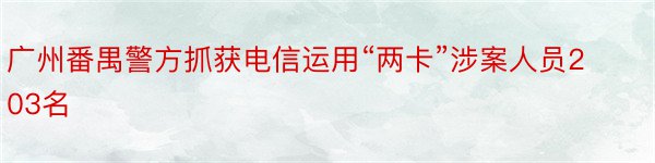 广州番禺警方抓获电信运用“两卡”涉案人员203名