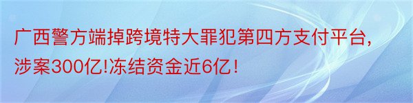 广西警方端掉跨境特大罪犯第四方支付平台,涉案300亿!冻结资金近6亿！
